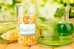 Footrid biofuel availability