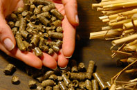 free Footrid biomass boiler quotes
